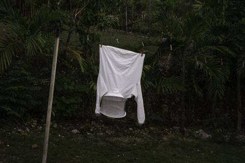 A photograph of a white beekeeper's suit hanging upside down on a clothes line against dark background foliage